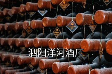 泗陽(yáng)洋河酒廠