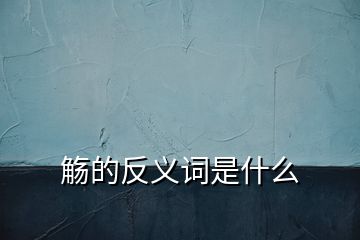 觴的反義詞是什么