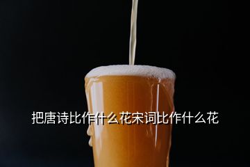 把唐詩(shī)比作什么花宋詞比作什么花