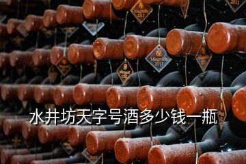 水井坊天字號(hào)酒多少錢一瓶