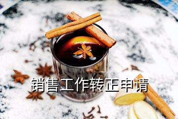 銷售工作轉(zhuǎn)正申請