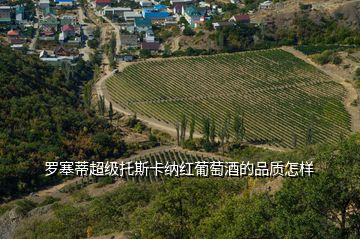 羅塞蒂超級托斯卡納紅葡萄酒的品質(zhì)怎樣