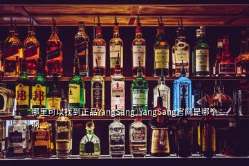 哪里可以找到正品YangSang  YangSang官網(wǎng)是哪個啊