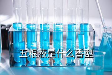 五糧液是什么香型