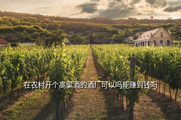 在農(nóng)村開個(gè)高粱酒的酒廠可以嗎能賺到錢嗎