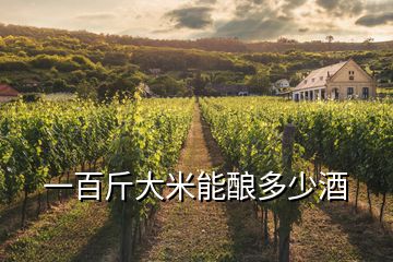 一百斤大米能釀多少酒