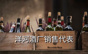 洋河酒廠銷(xiāo)售代表