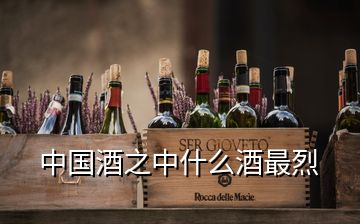 中國(guó)酒之中什么酒最烈