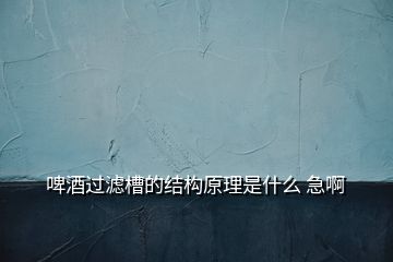 啤酒過濾槽的結構原理是什么 急啊