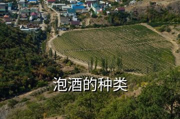 泡酒的種類(lèi)