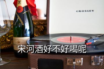 宋河酒好不好喝呢