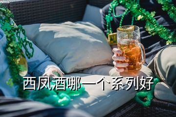 西鳳酒哪一個(gè)系列好