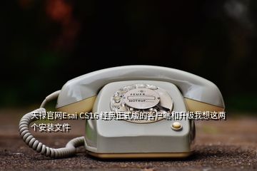 天祿官網Esai CS16 經典正式版的客戶端和升級我想這兩個安裝文件