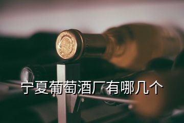 寧夏葡萄酒廠有哪幾個(gè)