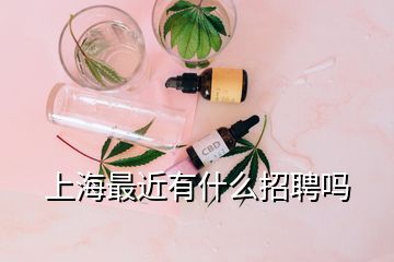 上海最近有什么招聘嗎