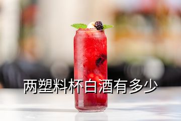 兩塑料杯白酒有多少