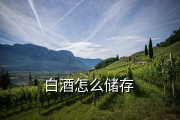 白酒怎么儲(chǔ)存