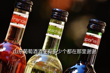 山東葡萄酒酒莊有多少個(gè)都在那里謝謝