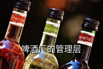 啤酒廠的管理層