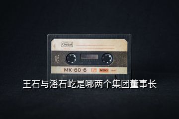 王石與潘石屹是哪兩個集團(tuán)董事長