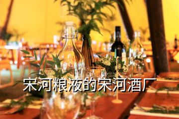 宋河糧液的宋河酒廠