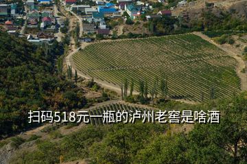 掃碼518元一瓶的瀘州老窖是啥酒