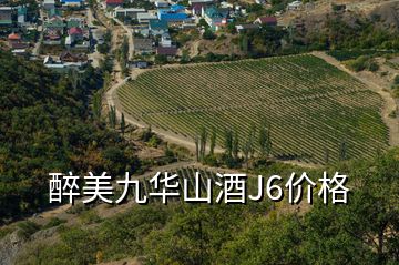 醉美九華山酒J6價(jià)格