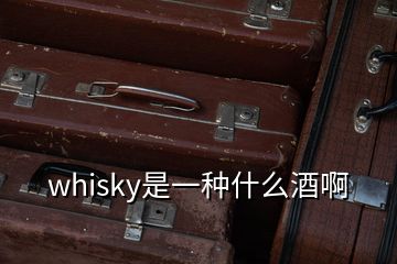 whisky是一種什么酒啊