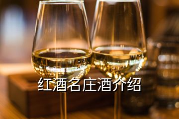 紅酒名莊酒介紹