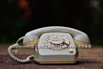 Charles Keith官方旗艦店是哪個(gè)Charles Keith官網(wǎng)是哪個(gè)呢