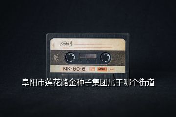 阜陽市蓮花路金種子集團屬于哪個街道