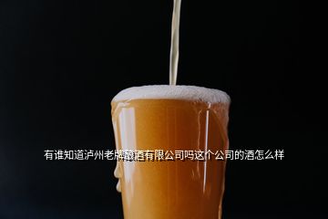 有誰知道瀘州老牌釀酒有限公司嗎這個公司的酒怎么樣