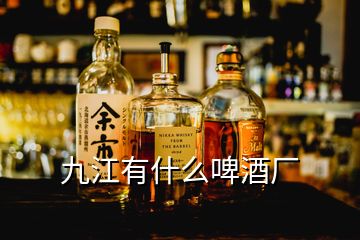 九江有什么啤酒廠