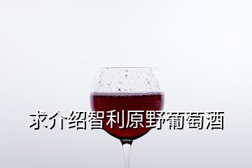 求介紹智利原野葡萄酒