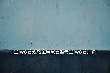 金屬軟管規(guī)格金屬軟管型號(hào)金屬軟管廠(chǎng)家