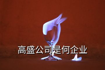 高盛公司是何企業(yè)