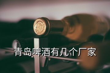 青島啤酒有幾個(gè)廠(chǎng)家