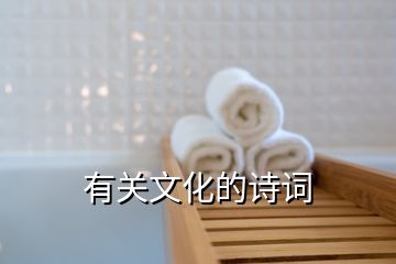 有關(guān)文化的詩詞