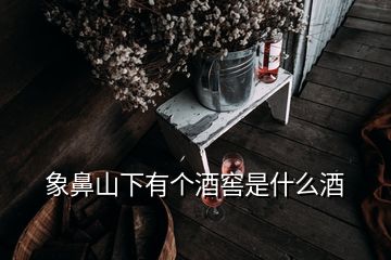 象鼻山下有個酒窖是什么酒