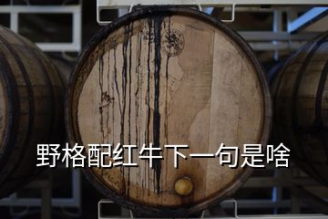 野格配紅牛下一句是啥