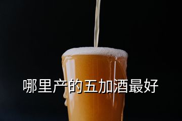 哪里產的五加酒最好