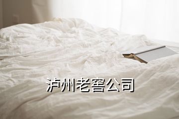 瀘州老窖公司