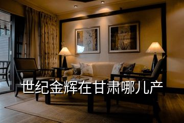 世紀金輝在甘肅哪兒產(chǎn)