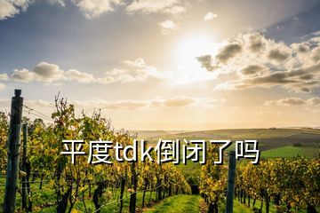 平度tdk倒閉了嗎