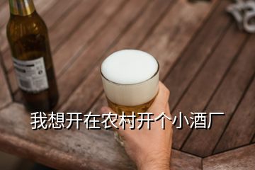 我想開在農(nóng)村開個小酒廠