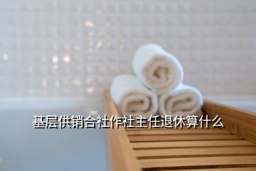 基層供銷合社作社主任退休算什么