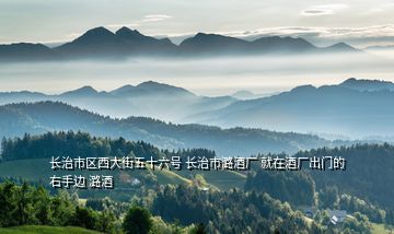 長(zhǎng)治市區(qū)西大街五十六號(hào) 長(zhǎng)治市潞酒廠(chǎng) 就在酒廠(chǎng)出門(mén)的右手邊 潞酒