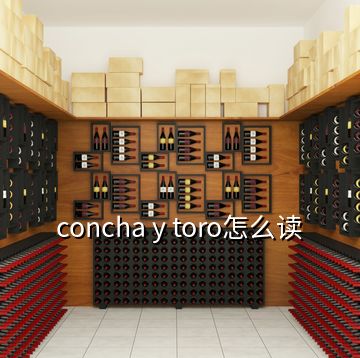 concha y toro怎么讀