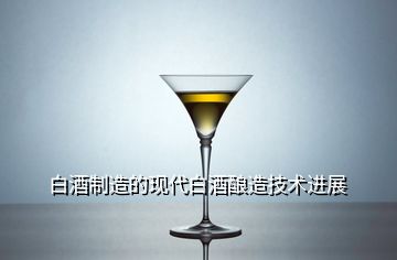 白酒制造的現(xiàn)代白酒釀造技術(shù)進展