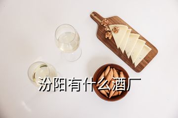 汾陽有什么酒廠